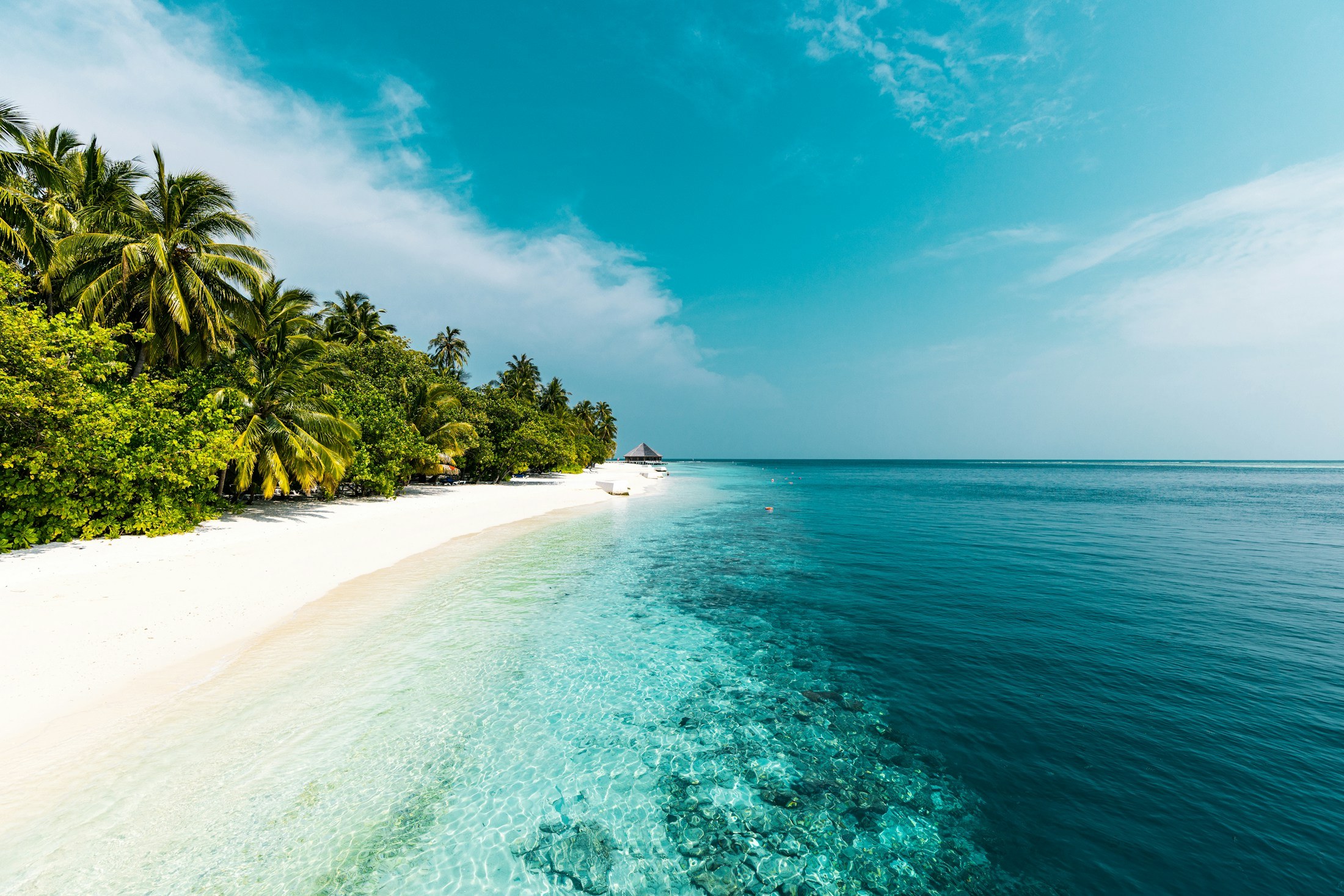 Illustrative the tropics landscape